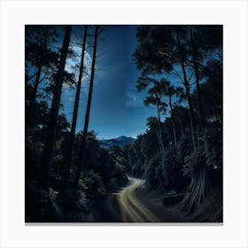 Moonlight In The Forest Canvas Print