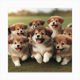 Shih Tzu Puppies Canvas Print