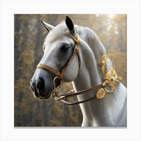 White Horse With Gold Bridle Canvas Print