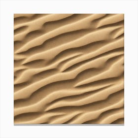 Sand Dune Texture 1 Canvas Print