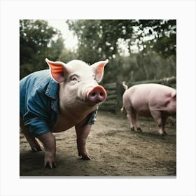 Two Pigs Canvas Print