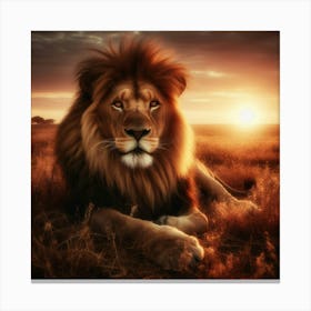 Lion At Sunset 1 Canvas Print