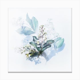 White Flowers On A White Background Canvas Print