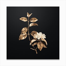 Gold Botanical Black Haw on Wrought Iron Black n.0719 Canvas Print