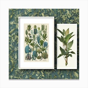 Botanical Set Jardin Majorelle, Morocco Vintage Botanical Art Print Canvas Print