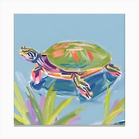 Painted Turtle 05 Canvas Print