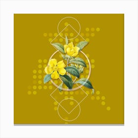 Vintage Golden Guinea Vine Botanical with Geometric Line Motif and Dot Pattern n.0057 Canvas Print
