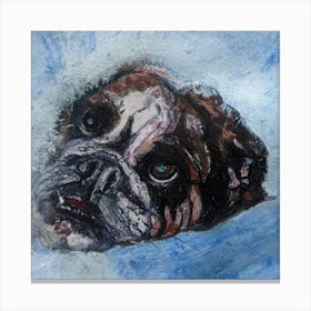 Bulldog Canvas Print