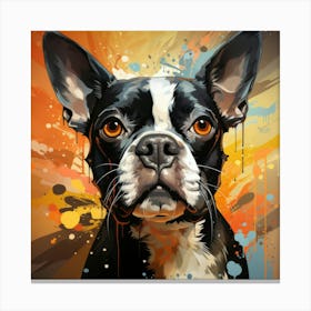 Boston Terrier 8 Canvas Print