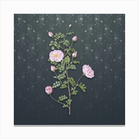 Vintage Pink Scotch Briar Rose Botanical on Slate Gray Pattern n.0190 Canvas Print