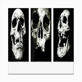 3 Skulls Funny Horror X Ray Halloween Skeleton Shirt Men Canvas Print