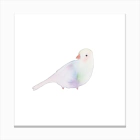 Blushing Bird Opal Square Canvas Print