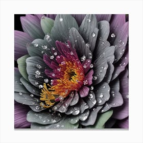 Water Drops On A Purple Flower Canvas Print