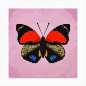 Mechanical Butterfly The Agrias Amydon Tryphon On A Pink Background Canvas Print