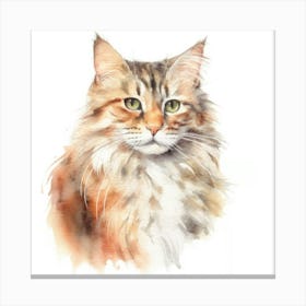 Kurilian Bobtail Cat Portrait 1 Canvas Print