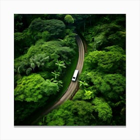 Aerial View Of A Road In The Rainforest Canvas Print