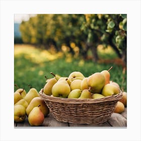 Pears In A Basket 2 Canvas Print