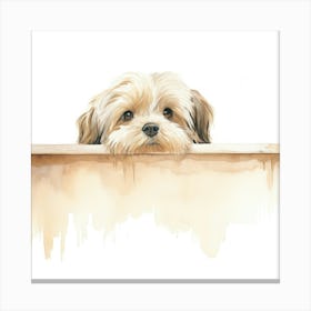 Shih Tzu Dog 2 Canvas Print