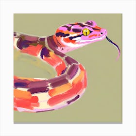 Red Tailed Boa Snake 02 Canvas Print