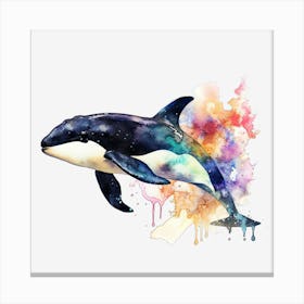 Orca Whale Stampe su tela