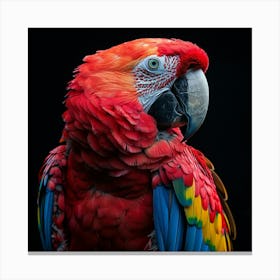 Red Macaw Canvas Print