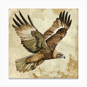 Eagle In Flight 2 Canvas Print