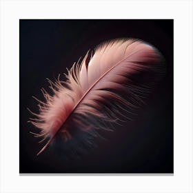 Feather - Feather Stock Videos & Royalty-Free Footage 1 Canvas Print