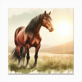 Horse In The Meadow Canvas Print