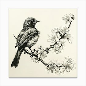 Bird On A Branch 1 Canvas Print