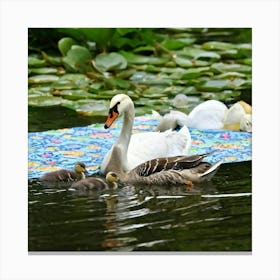 Swan Family 2 Canvas Print