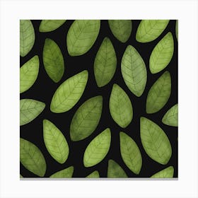 Green Leaves On Black Background Canvas Print
