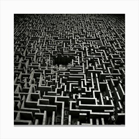 Maze 8 Canvas Print