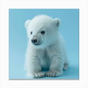 Polar Bear Cub Canvas Print