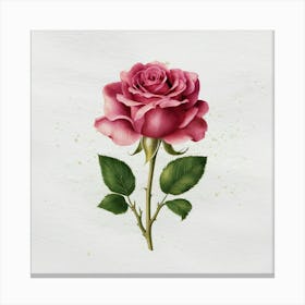 Pink Rose 12 Canvas Print