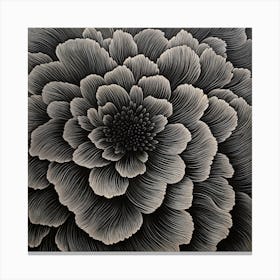 Bw Geo 2 Canvas Print