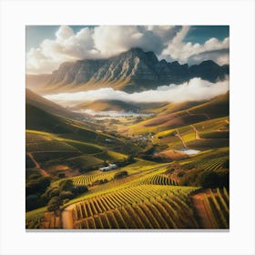Sunset Over Vineyards In South Africa Canvas Print