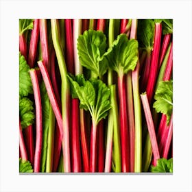 Rhubarb 96 Canvas Print