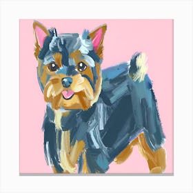Yorkshire Terrier 02 Canvas Print