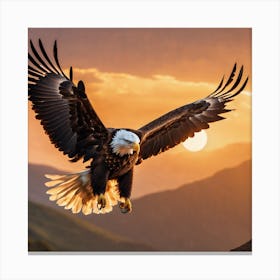 Eagle in flight Canvas Print