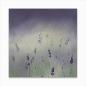 Lavender Field Canvas Print