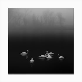 Swan Lake Foggy Morning Canvas Print