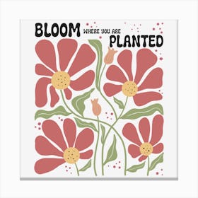 Bloom Where You Are Planted Canvas Print