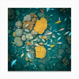 Coral Reef25 1 Canvas Print