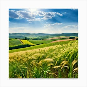 Field Of Wheat 2 Canvas Print