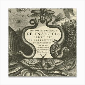 De Insectes Canvas Print