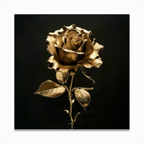 Gold Rose 1 Canvas Print