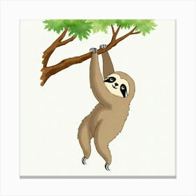 Sloth Hanging From Tree Canvas Print