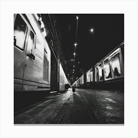 Cat On The Train Tracks Canvas Print