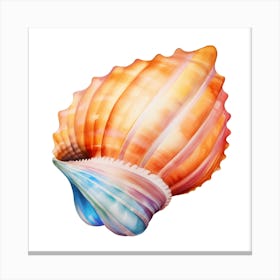 Colorful Sea Shell Isolated On White Photo Canvas Print