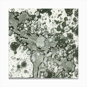 Abstraction Gray Canvas Print